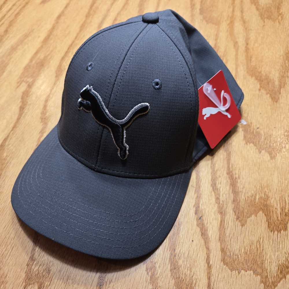 Puma Men's Charcoal Baseball Cap